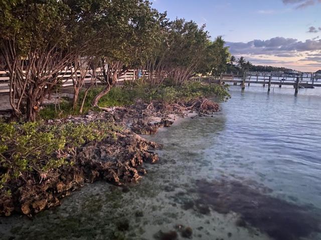 Bahia Bay Resort Key Largo Exterior photo